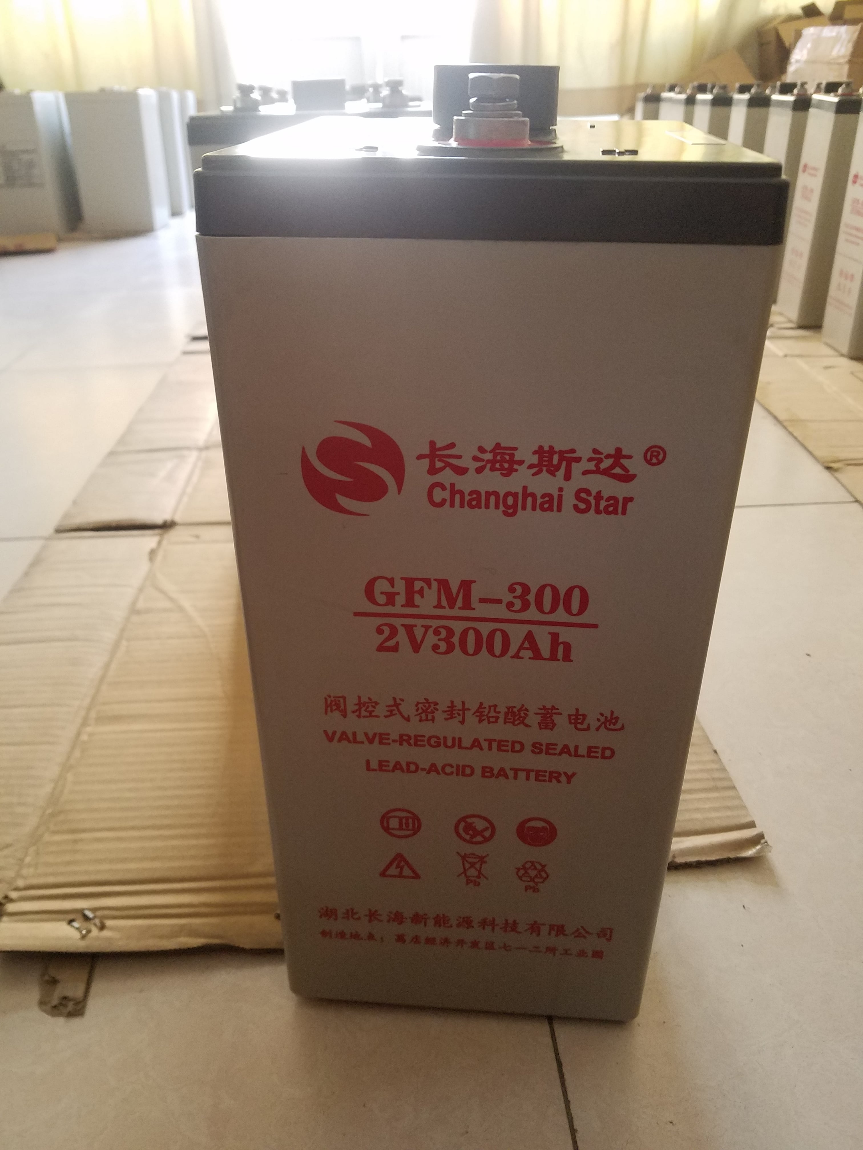 长海斯达蓄电池GFM-300